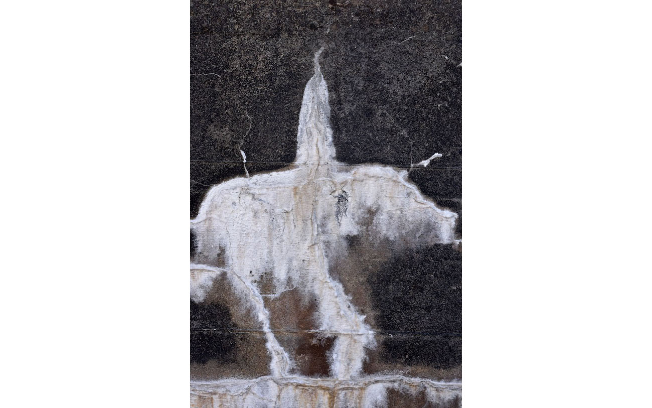 Saint Bernard-Séquence-ursidée-Bestiaire-Coulures-fantomatiques-©-J-Lamy-S-portfolio_DSC0156.jpg