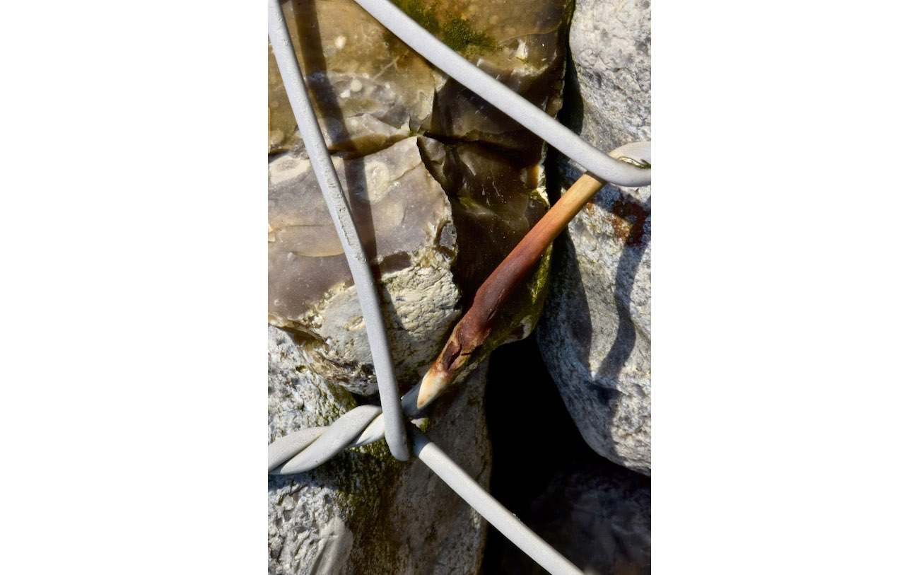 L'enfer du gabion 19-Les deux visages- Série Les pierres du chemin-Photo J Lamy 2019 - Derrière le grillage, deux visages accolés, plongés dans une sorte de résignation triste .