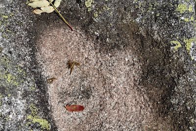 Portrait facécieux d'une trace d'eau dans le creux d'un rocher - Hugo le coquet, Huguette la coquette – Chapitre 1 : Le caillou dans la chaussure-Série : Les Pierres du Chemin-Photo Jacques Lamy- 2019
