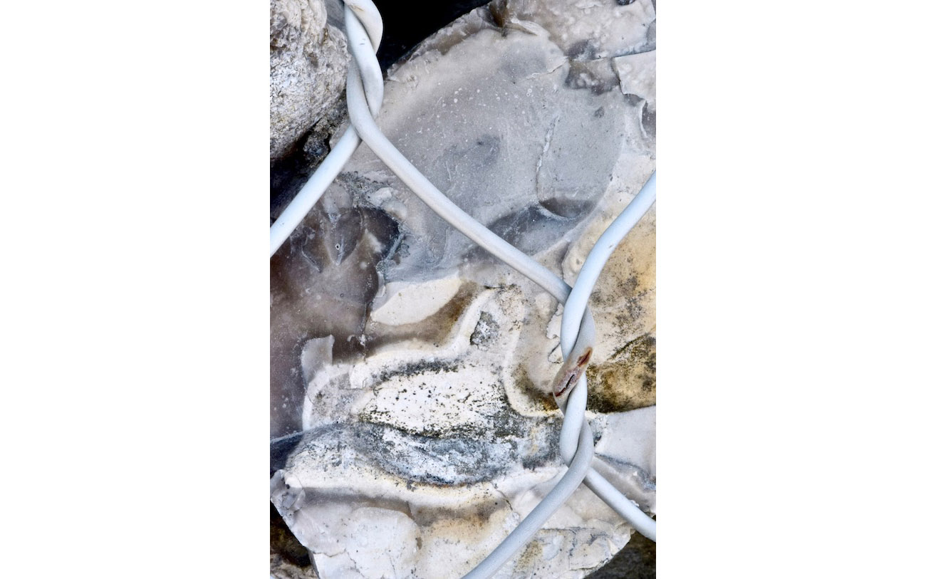 La face lunaire du visage est mangé par une bouche protubérante -L'enfer du gabion 14-La face lunaire-Les pierres du chemin-Photo J Lamy 2019.