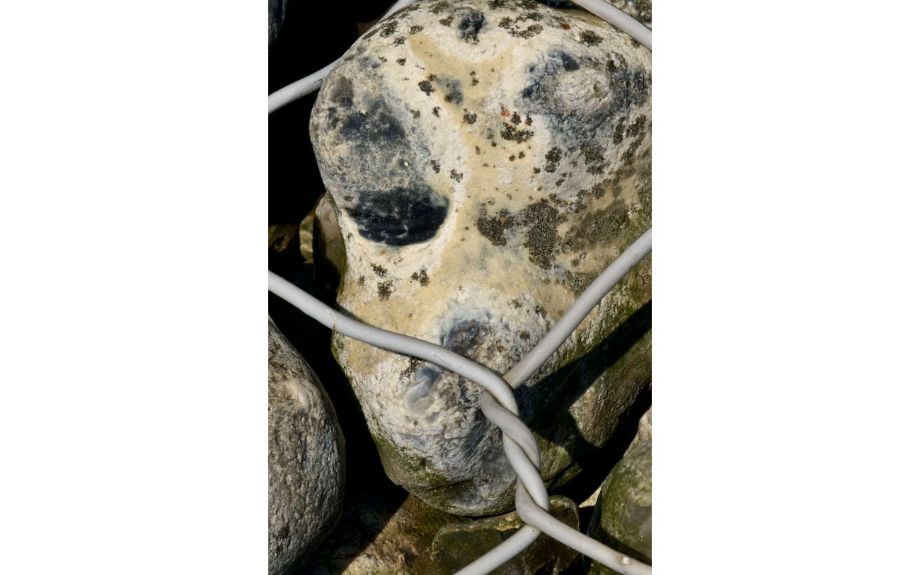 Visage jaune. Bosse au front. L'enfer du gabion 7- Le prisonnier malade-Les pierres du chemin-Photo J Lamy 2019.