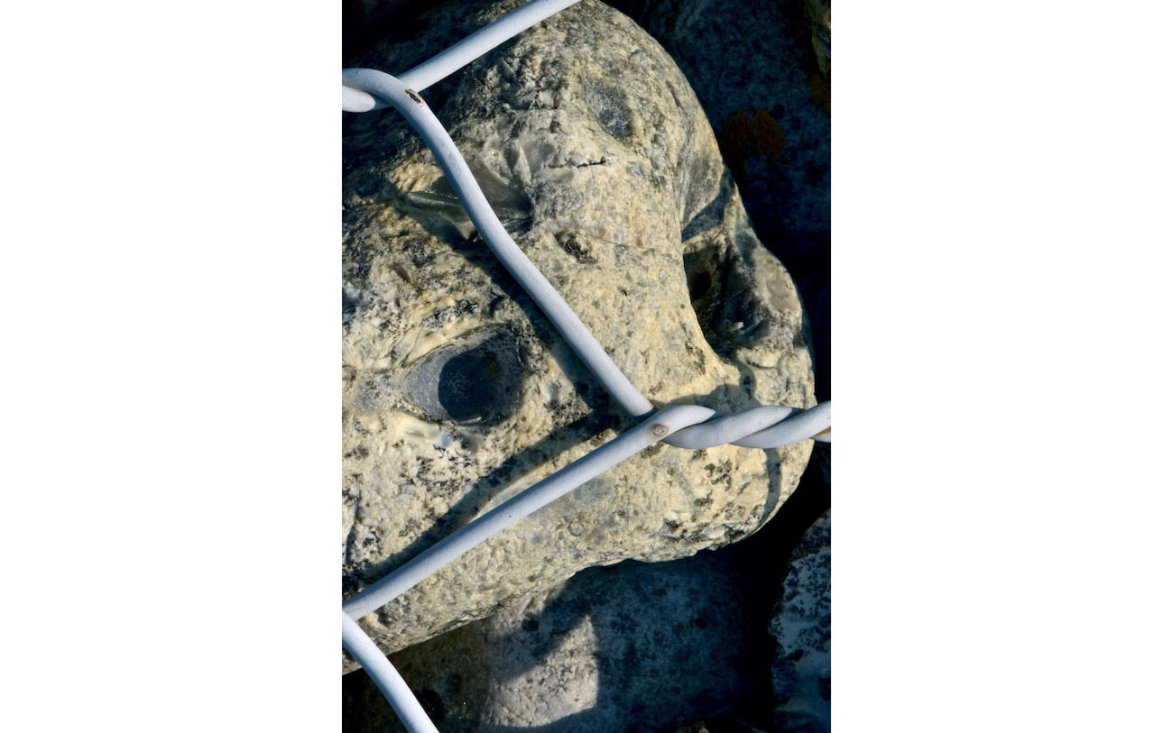 L'enfer du gabion 9- Les yeux de biche au rebus- Photo J Lamy-2019- S portfolio. En fait les yeux sont vides, seuls demeurent les maquillages "oeil de biche".