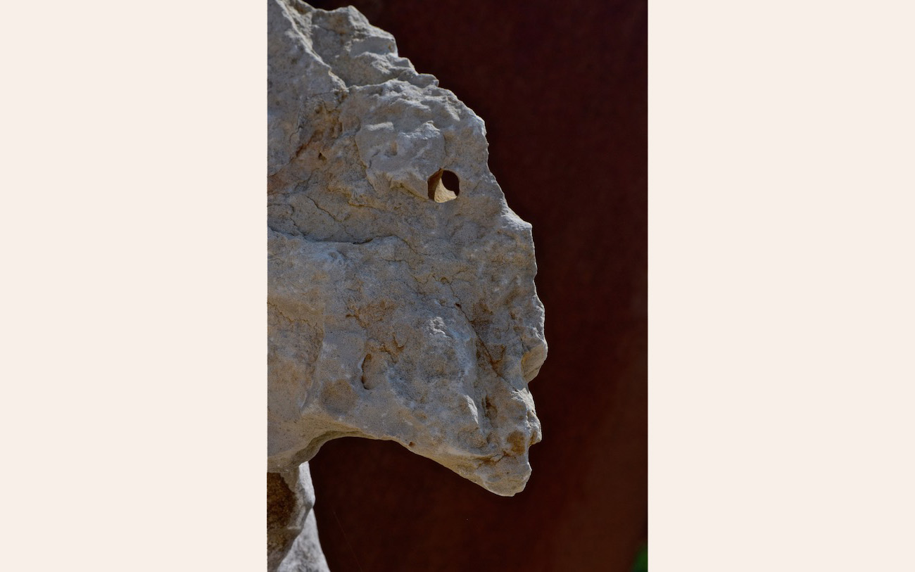 L'interrogation-© Jacques Lamy 2019- imageslamy.fr -Portraits pétrographiques-Les images du chemin