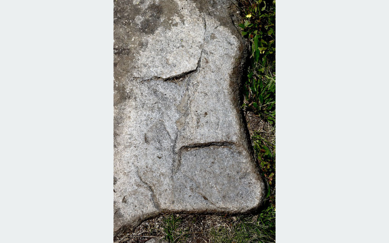 Le prognathe à la fleur-©Jacques Lamy 2019-Le caillou dans la chaussure-Les pierres du chemin